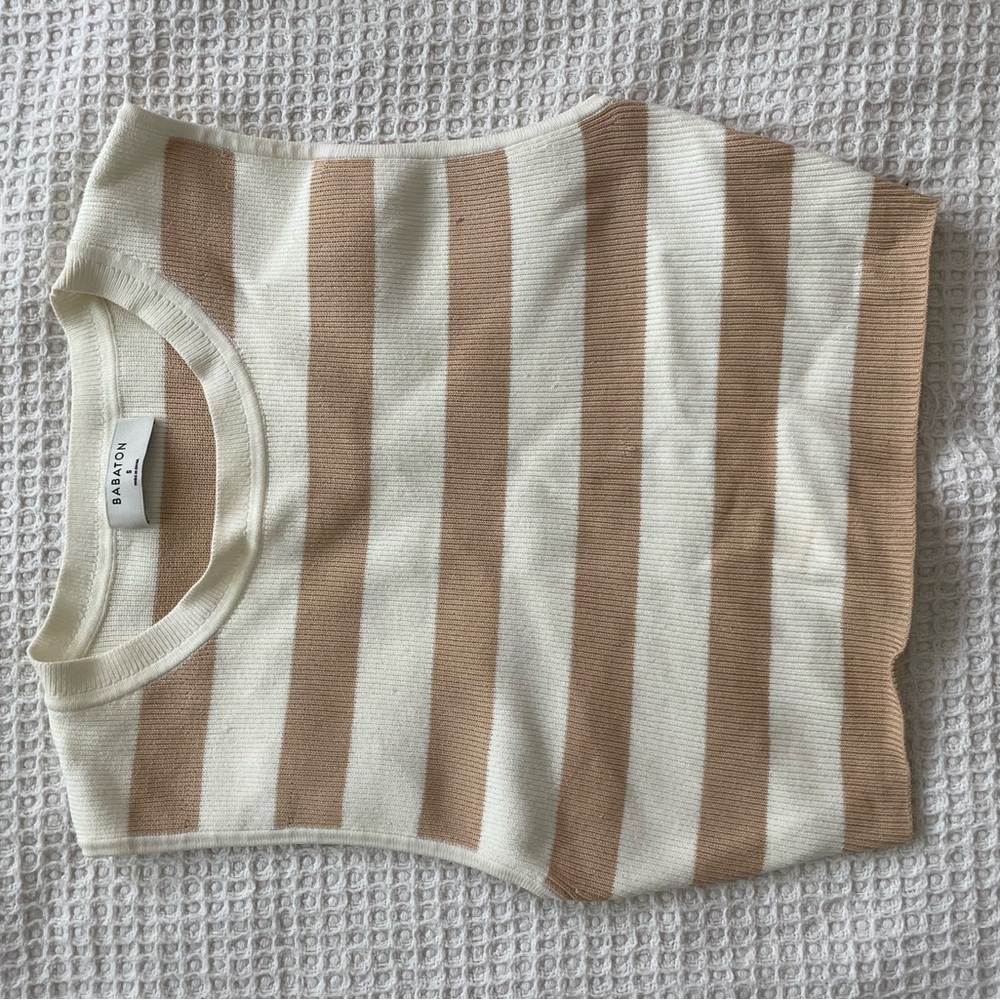 Babaton top from aritzia